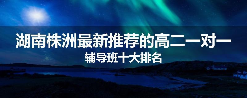 湖南株洲最新推荐的高二一对一辅导班十大排名