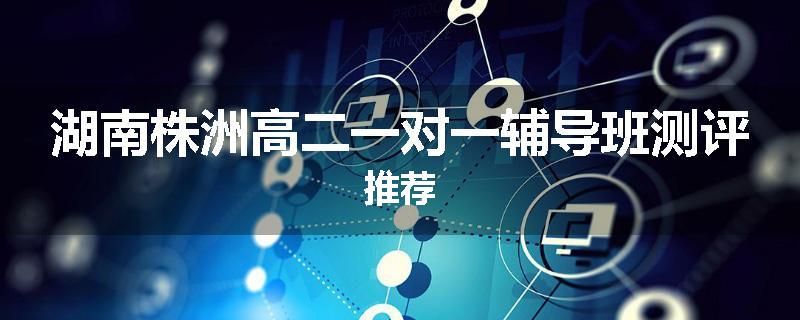 湖南株洲高二一对一辅导班测评推荐