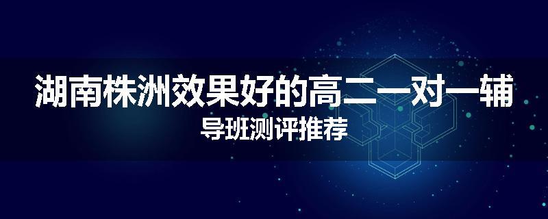 湖南株洲效果好的高二一对一辅导班测评推荐