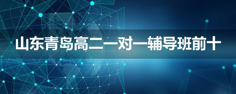 山东青岛高二一对一辅导班前十