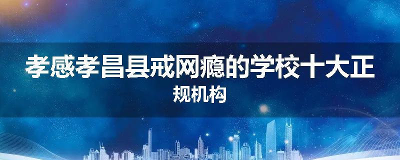 孝感孝昌县戒网瘾的学校十大正规机构