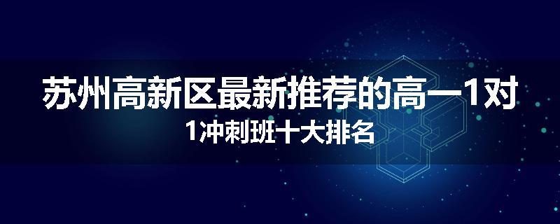 苏州高新区最新推荐的高一1对1冲刺班十大排名
