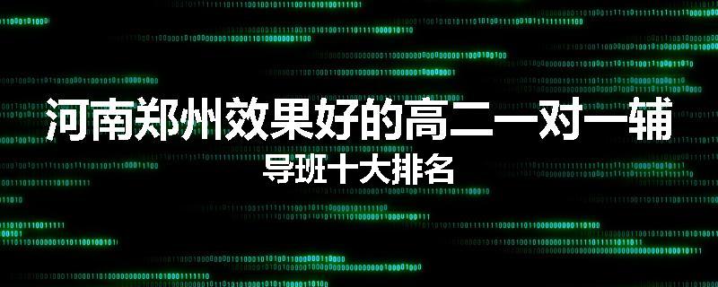 河南郑州效果好的高二一对一辅导班十大排名