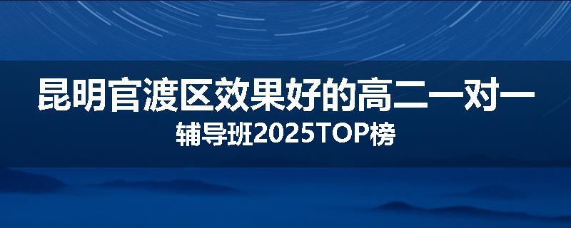 昆明官渡区效果好的高二一对一辅导班2025TOP榜