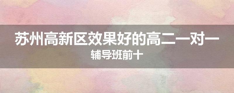苏州高新区效果好的高二一对一辅导班前十