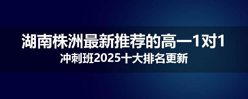 湖南株洲最新推荐的高一1对1冲刺班2025十大排名更新