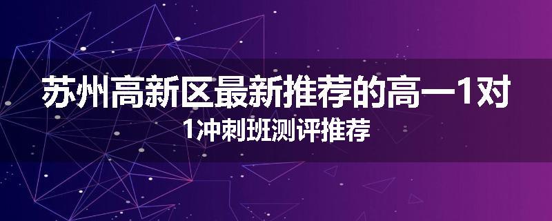 苏州高新区最新推荐的高一1对1冲刺班测评推荐