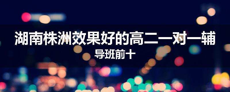 湖南株洲效果好的高二一对一辅导班前十