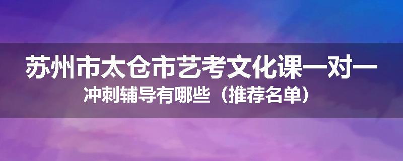 苏州市太仓市艺考文化课一对一冲刺辅导有哪些（推荐名单）