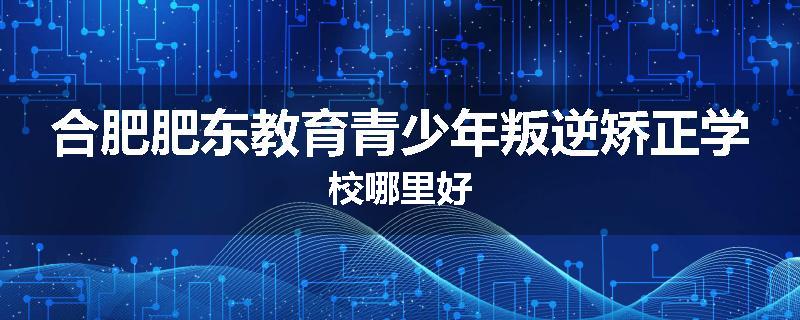 合肥肥东教育青少年叛逆矫正学校哪里好