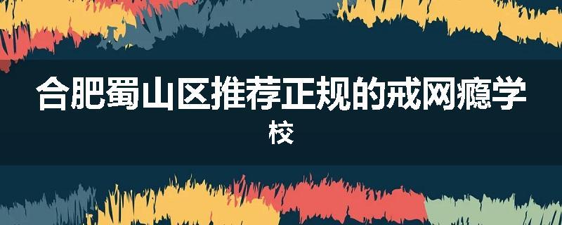 合肥蜀山区推荐正规的戒网瘾学校