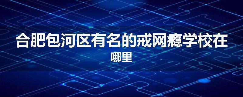 合肥包河区有名的戒网瘾学校在哪里