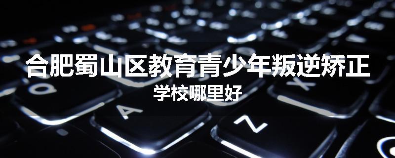 合肥蜀山区教育青少年叛逆矫正学校哪里好