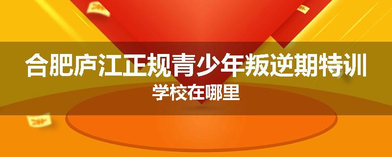 合肥庐江正规青少年叛逆期特训学校在哪里