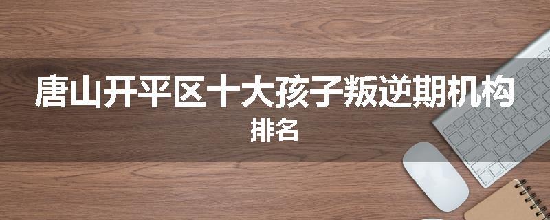 唐山开平区十大孩子叛逆期机构排名