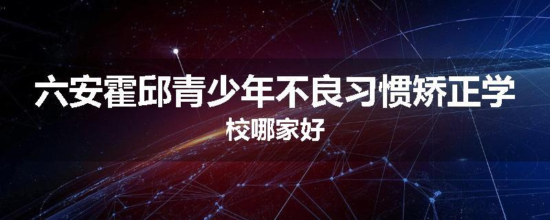 六安霍邱青少年不良习惯矫正学校哪家好