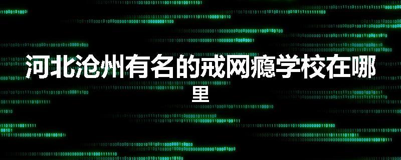 河北沧州有名的戒网瘾学校在哪里