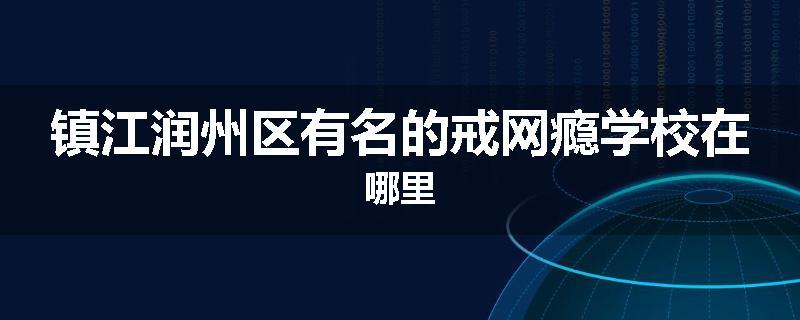 镇江润州区有名的戒网瘾学校在哪里