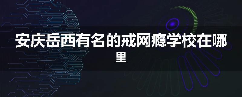 安庆岳西有名的戒网瘾学校在哪里