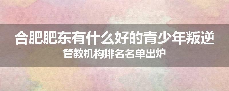 合肥肥东有什么好的青少年叛逆管教机构排名名单出炉