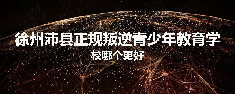 徐州沛县正规叛逆青少年教育学校哪个更好