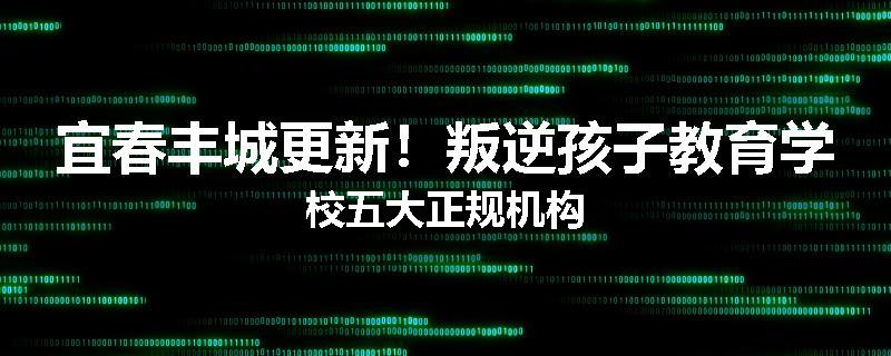 宜春丰城更新！叛逆孩子教育学校五大正规机构