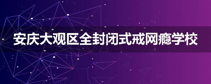 安庆大观区全封闭式戒网瘾学校
