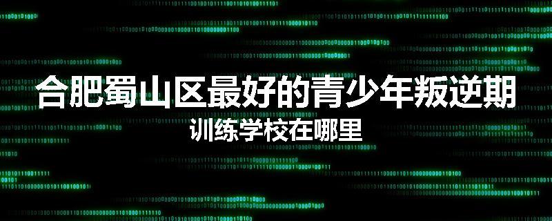 合肥蜀山区最好的青少年叛逆期训练学校在哪里