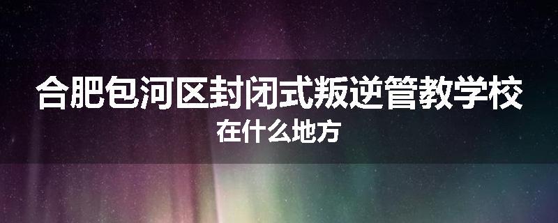 合肥包河区封闭式叛逆管教学校在什么地方
