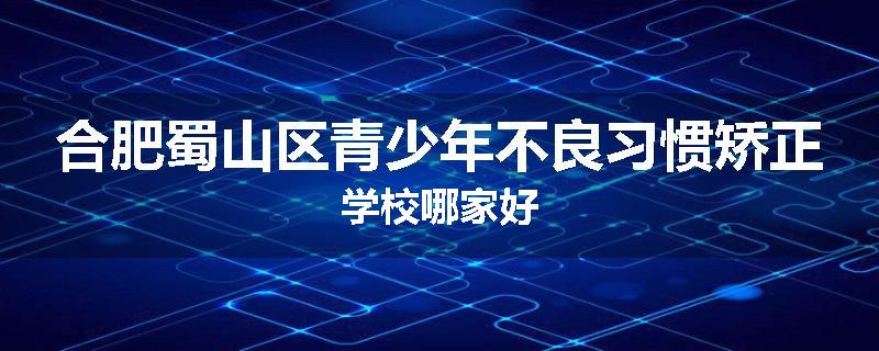 合肥蜀山区青少年不良习惯矫正学校哪家好