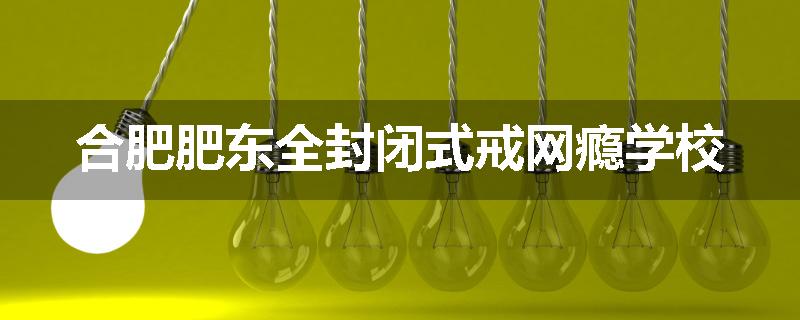 合肥肥东全封闭式戒网瘾学校