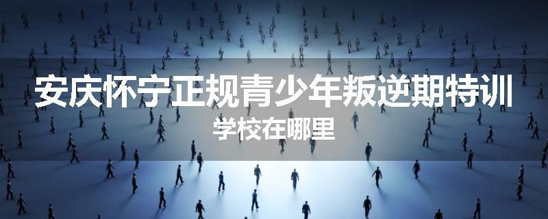 安庆怀宁正规青少年叛逆期特训学校在哪里
