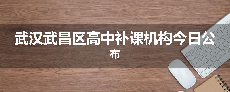武汉武昌区高中补课机构今日公布