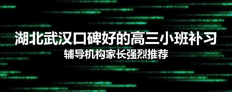 湖北武汉口碑好的高三小班补习辅导机构家长强烈推荐