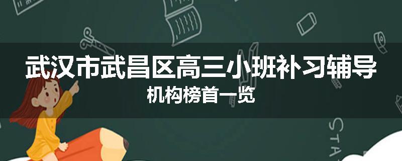 武汉市武昌区高三小班补习辅导机构榜首一览