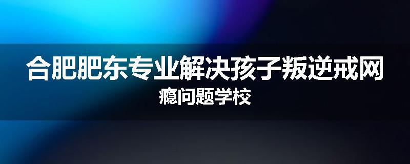 合肥肥东专业解决孩子叛逆戒网瘾问题学校