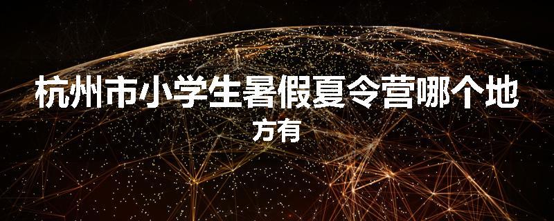 杭州市小学生暑假夏令营哪个地方有