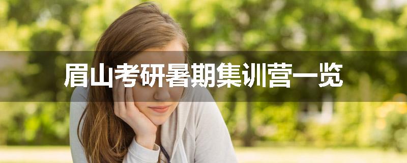 眉山考研暑期集训营一览
