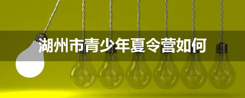 湖州市青少年夏令营如何