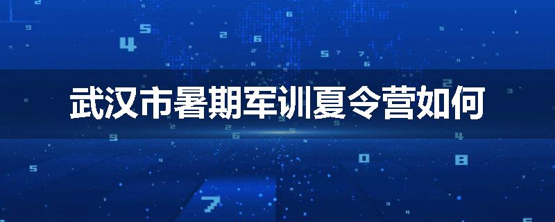武汉市暑期军训夏令营如何