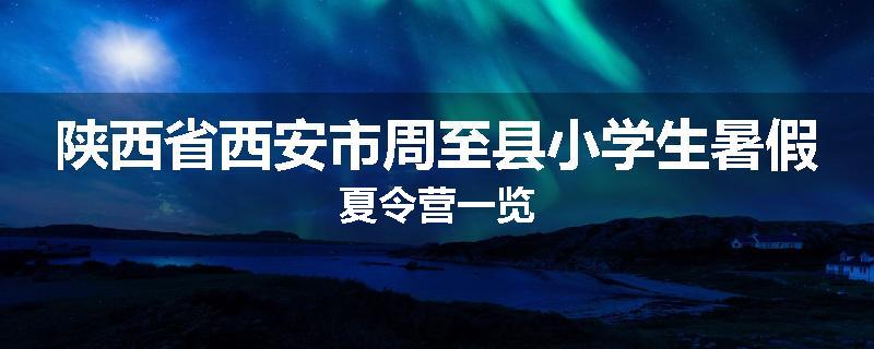 陕西省西安市周至县小学生暑假夏令营一览