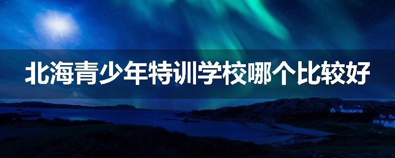 北海青少年特训学校哪个比较好