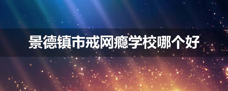 景德镇市戒网瘾学校哪个好