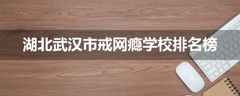湖北武汉市戒网瘾学校排名榜