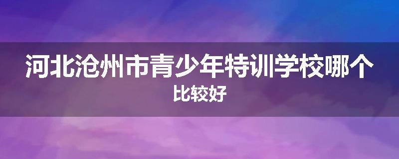 河北沧州市青少年特训学校哪个比较好