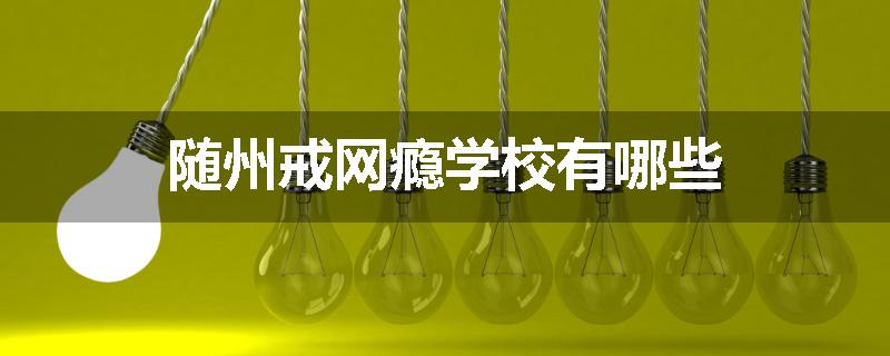 随州戒网瘾学校有哪些