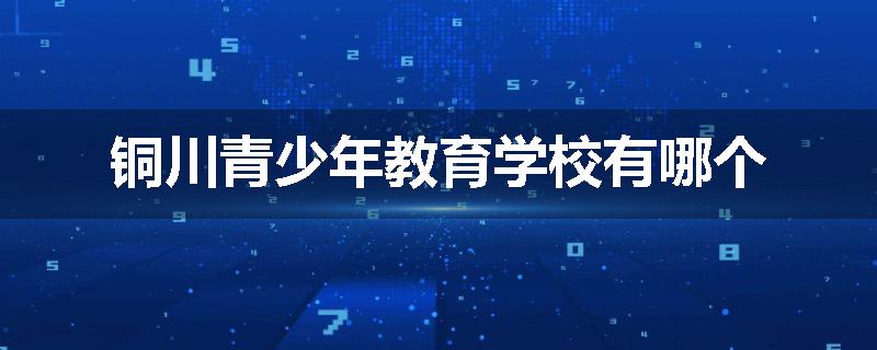 铜川青少年教育学校有哪个