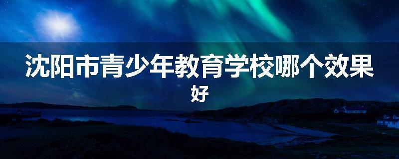 沈阳市青少年教育学校哪个效果好