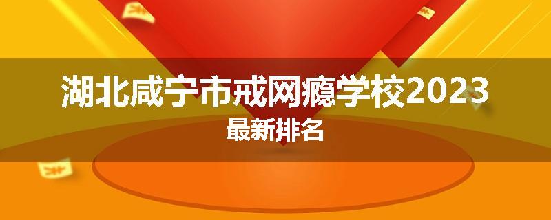 湖北咸宁市戒网瘾学校2023最新排名