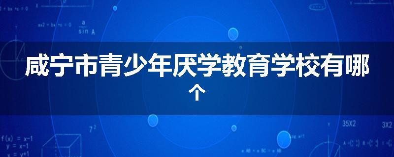 咸宁市青少年厌学教育学校有哪个